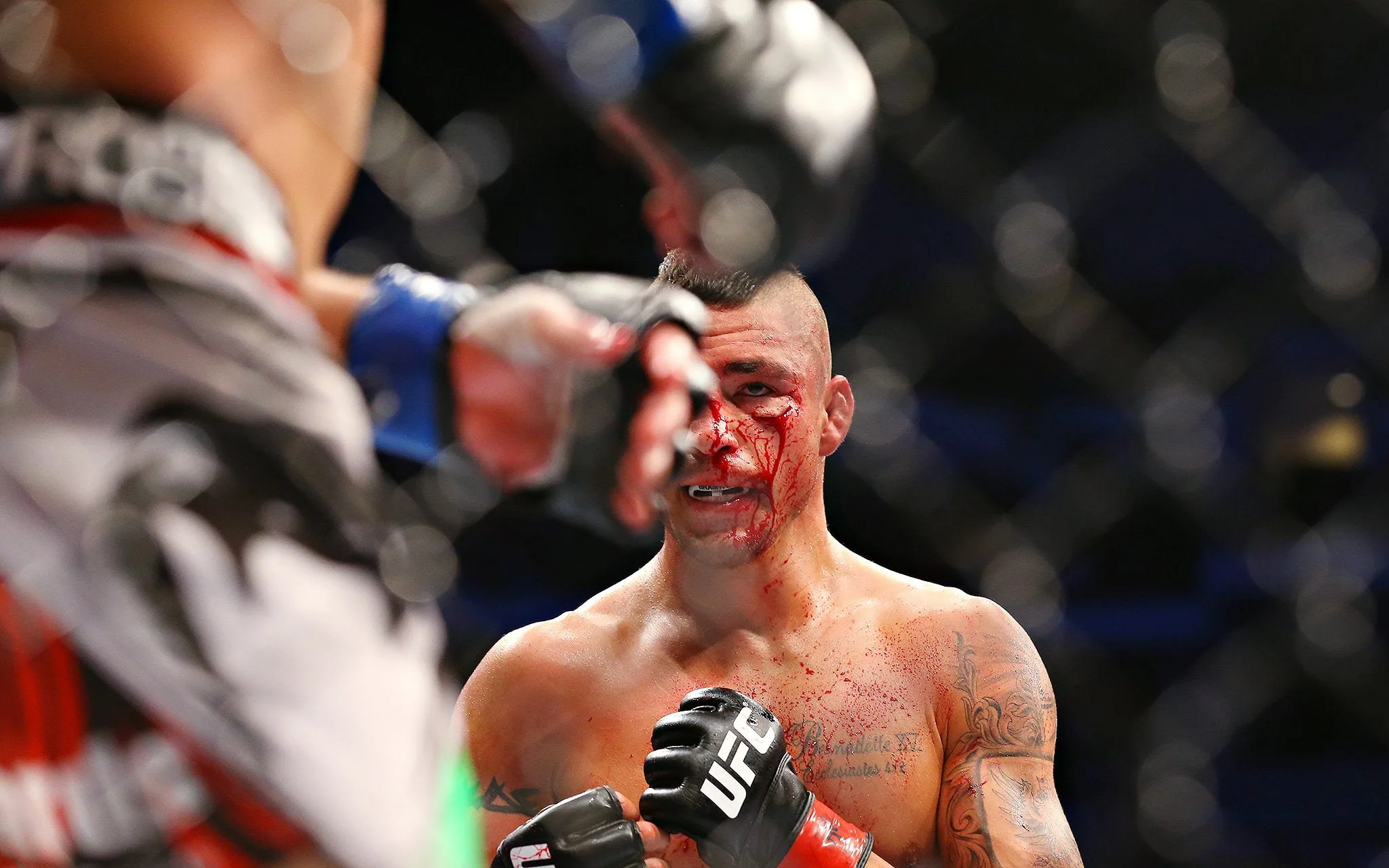© Lawrence Banahan — 1017163 Arts Fighting Martial Mixed Mma Ufc 1080P